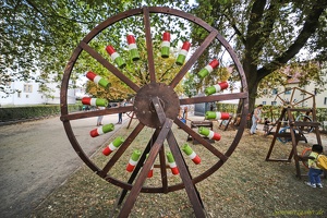 Etienne Favre  20220905 PP AKu  0075 1920x1280