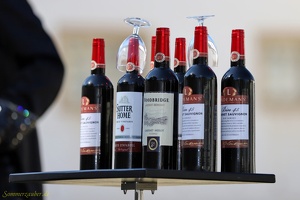 Hieronymus  20220906 PP Den  0197 1920x1280