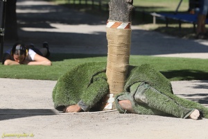 Ici Bas  20220906 PP AKu  9313 1920x1280