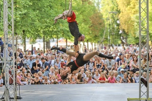 Wise Fools  20220905 PP Den  8822 1920x1280