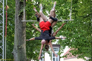 Wise Fools  20220906 PP AKu  9642 1920x1280