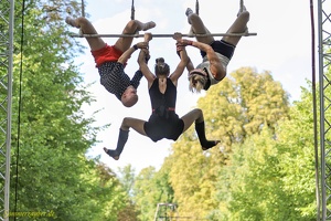 Wise Fools  20220906 PP AKu  9770 1920x1280