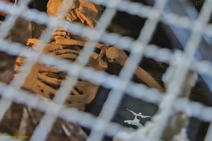 TG Dapper  20230904 PP Den  100762 1920x1280