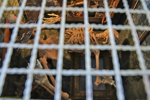 TG Dapper  20230904 PP Den  100763 1920x1280