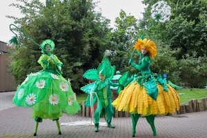 ArtTremondo  20240823 NdE AKu  7955 1920x1280