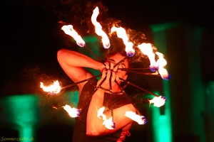 Hirondelles  20240910 PP Den  2880 1920x1280