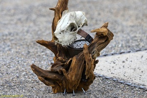 Bazarnaum Production  20240910 PP Den  1569 1920x1280