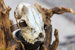 Bazarnaum Production  20240910 PP AKu  2326 1920x1280