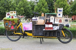 Buchfink Theater  20240910 PP AKu  9512 1920x1280