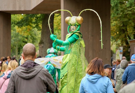 ArtTremondo  20250822 NdE BKu  8424 1920x1280