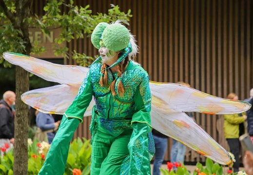 ArtTremondo  20250822 NdE BKu  8447 1920x1280