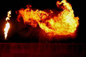 Das Feuervariete  20250908 PP Den  13229 1920x1280